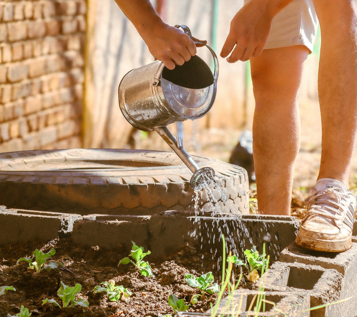 Je eerste moestuin beginnen? In juni is het nog niet te laat